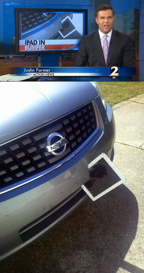 You Won’t Believe What Flew into This Woman’s Car