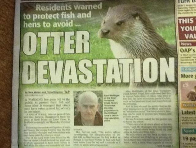 Odd and Amusing Newspaper Headlines (23 pics) - Izismile.com