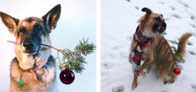 Why You Should Never Aspire to Recreating Awesome Pinterest Photos