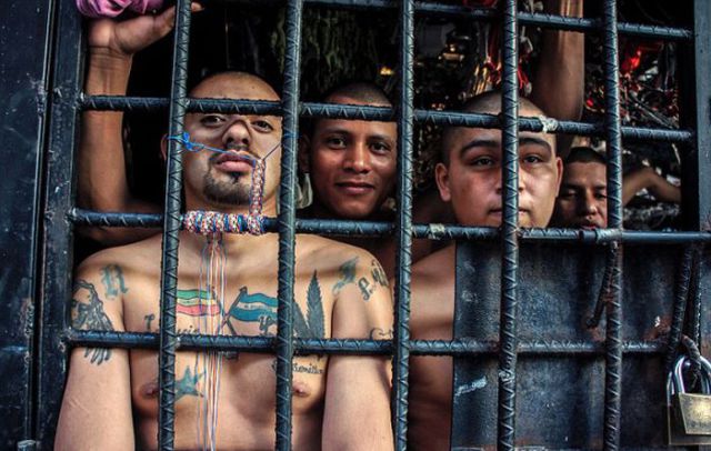 Criminals Crammed Into Cages In El Salvador Prisons 15 Pics
