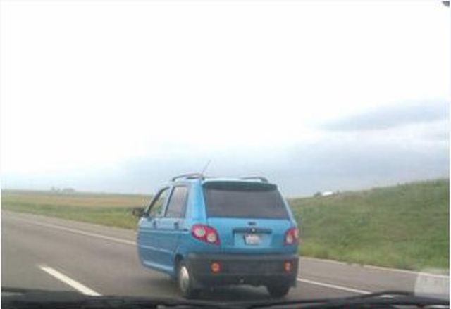 The Oddest and Funniest Things People Have Spotted while Driving