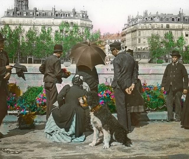 A 1900s Paris Compared to Paris Today