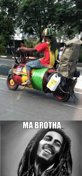 funny_picdump_556_640_52.jpg