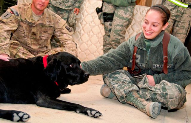 Soldiers Showing off Their Softer Side