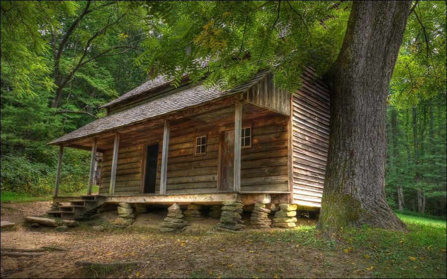 http://img.izismile.com/img/img6/20131102/1000/this_is_what_a_house_in_the_woods_should_look_like_05.jpg