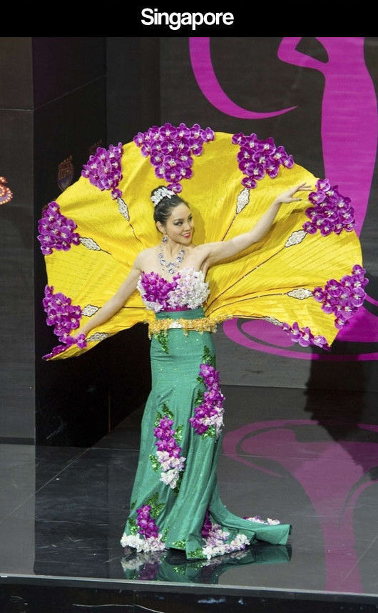 Miss Universe Pageant Contestants Parade Costumes for Their Country