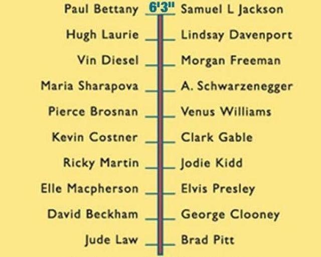 How Tall Are You Compared to Celebs?