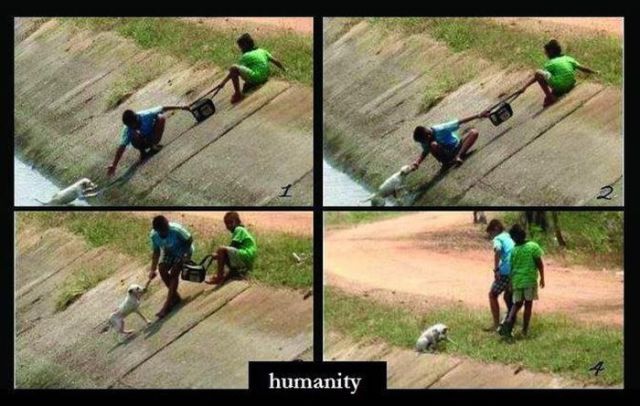 Moments That Will Restore Your Belief in Humanity