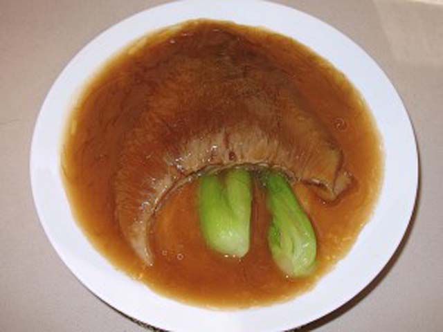 Shark Fins Bann...