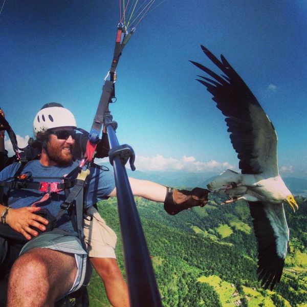 Photos Will Tell You More Than Words Can…