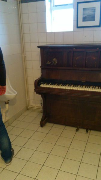morning_picdump_516_640_33.jpg