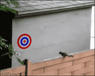 gifs_get_more_awesome_when_you_combine_t