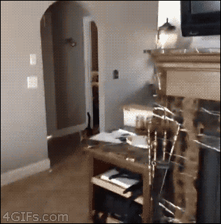 http://img.izismile.com/img/img7/20140328/1000/my_brain_actually_cannot_make_sense_of_any_of_this_45.gif