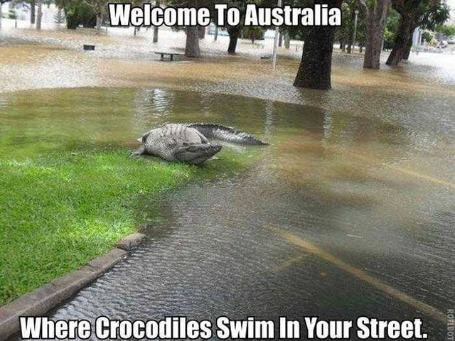 There Is Nothing Normal about Australia