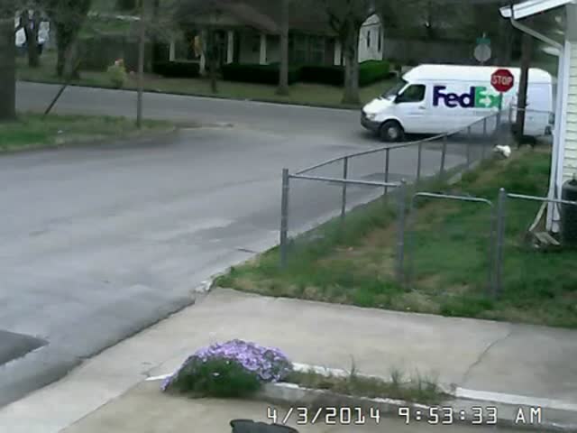 Epic FedEx Fail That Keeps the Dogs Entertained