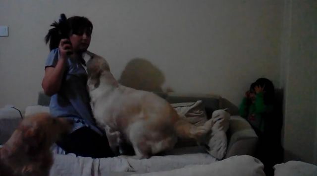 Dog Protects Child from Mother Pretending to Hit Him