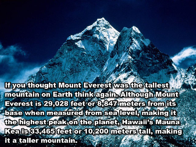 interesting_and_unusual_facts_640_05.jpg