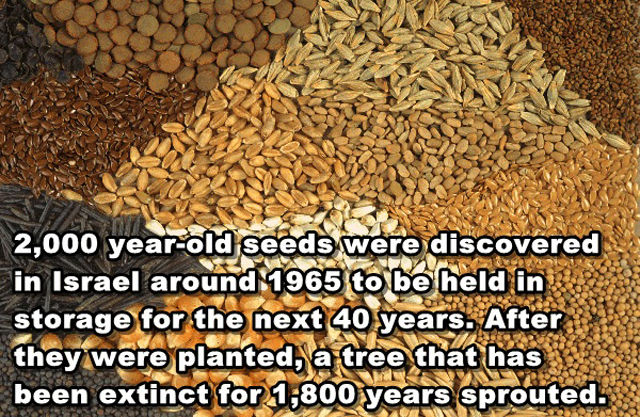 interesting_and_unusual_facts_640_15.jpg