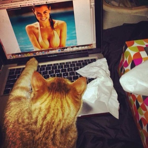 Взрослый Углу