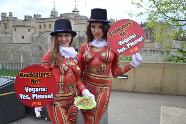 Взрослый Углу