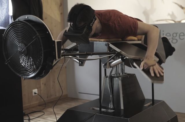 Thanks to the Oculus Rift, You Can Now Be a Bird!