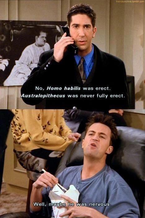 Hilarious Chandler Bing One-Liners from “Friends” (18 pics + 15 gifs