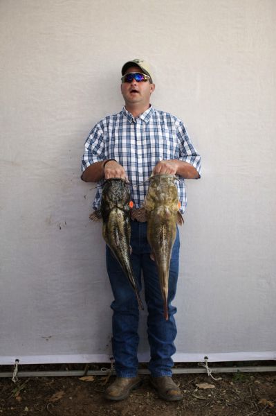 giant_catfish_noodling_is_an_odd_sport_6