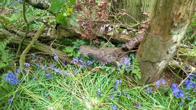 A Clever Way to Stash Your Stuff in Nature