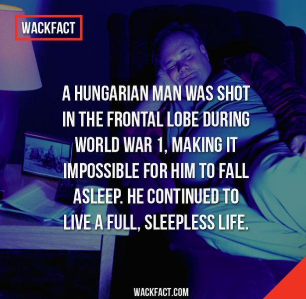 bizarre_facts_you_will_struggle_to_belie