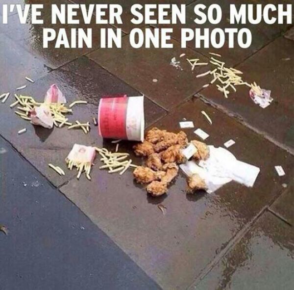 We’ve All Had Bad Days Like This!