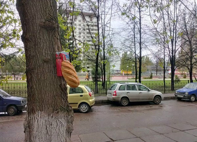 random_stuff_you_will_only_see_in_russia