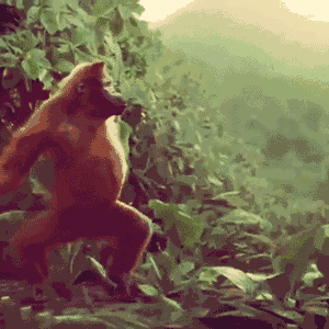 Classic Daily Life Moments That GIFs Sum Up Perfectly