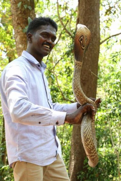 The Bravest Snake Expert on the Planet