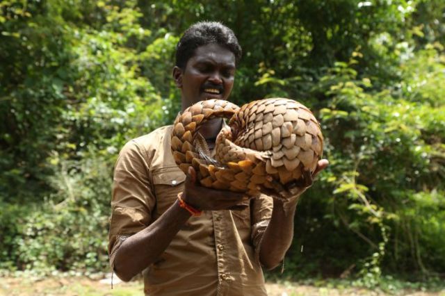 The Bravest Snake Expert on the Planet