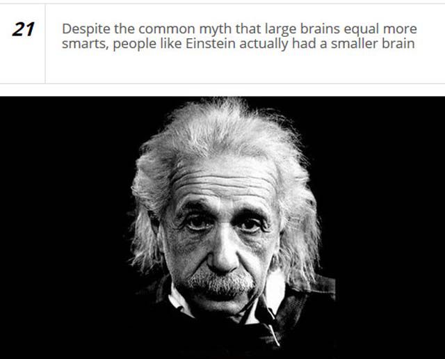 Fascinating Stuff You Probably Don’t Know about Your Brain