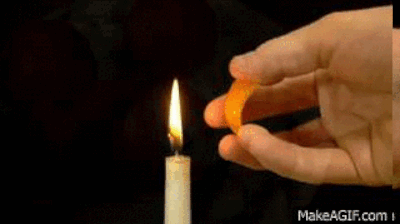 GIFs of Things You Would Probably Never Normally Get to See in Action