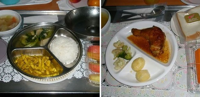 A Variety of Hospital Meals Worldwide