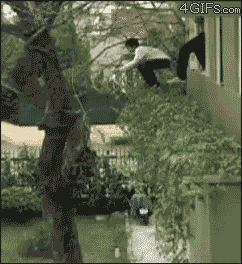 ... Falling GIFs That Will Definitely Make You Laugh out Loud (40 gifs