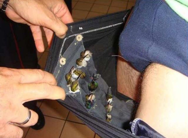 You Will Be Shocked to See What This Guy Tried to Smuggle in His Pants