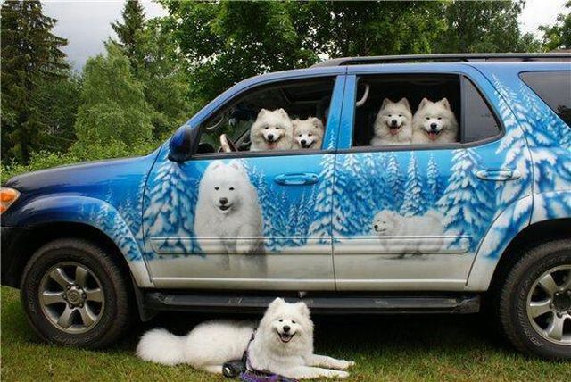 Morning Picdump