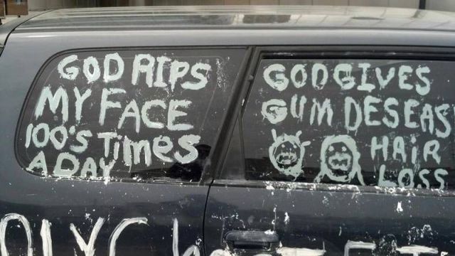 Morning Picdump