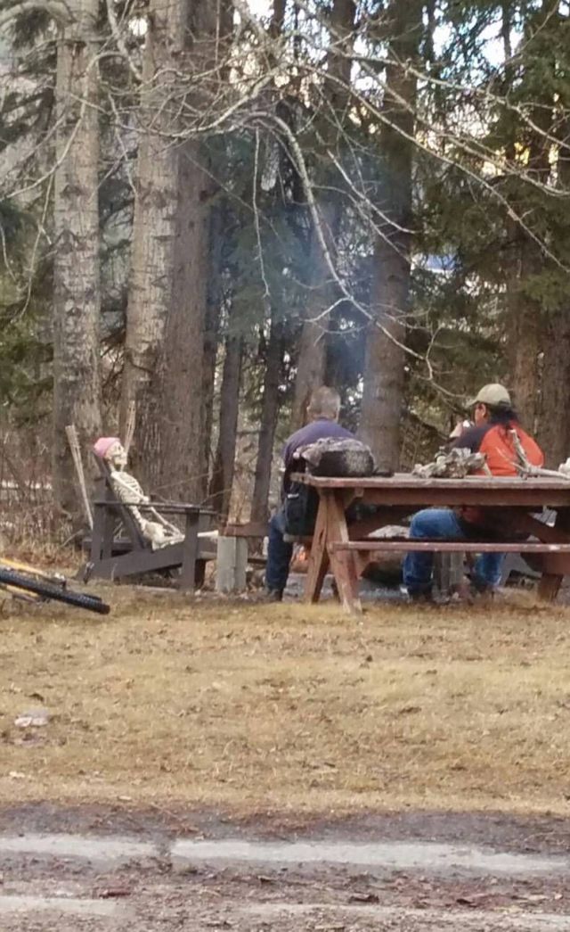 Morning Picdump