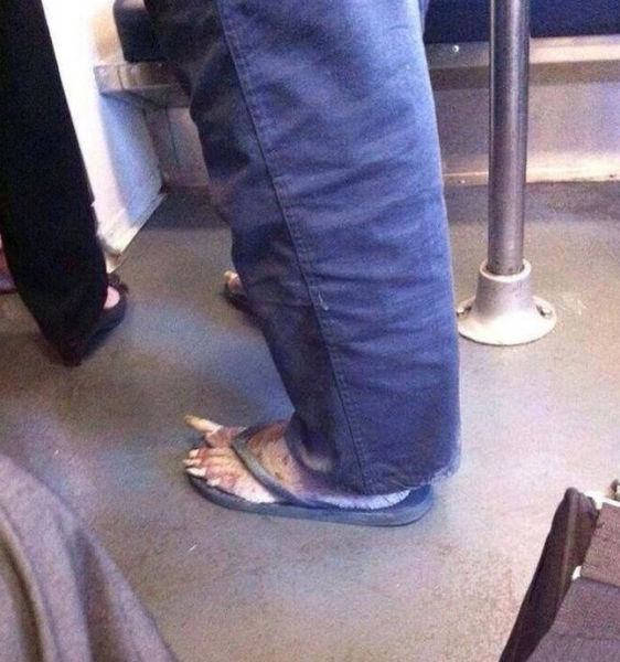 sometimes_the_only_question_is_wtf_640_18.jpg