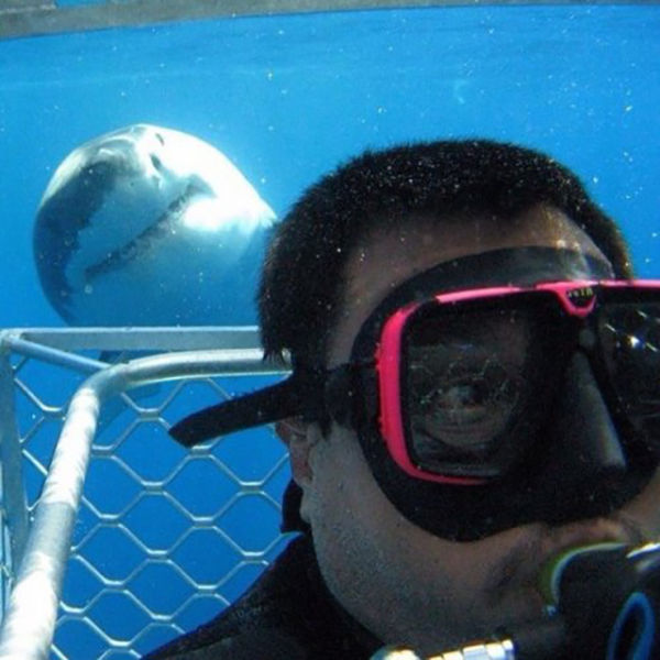 The Top Selfies across the Globe