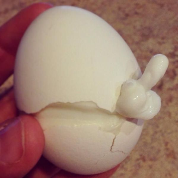 daily_picdump_1778_640_97.jpg