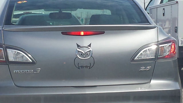 Morning Picdump