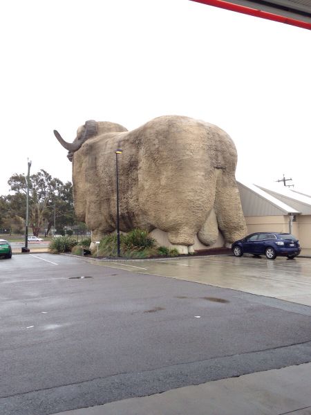 Morning Picdump