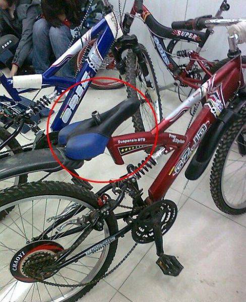 morning_picdump_783_640_11.jpg