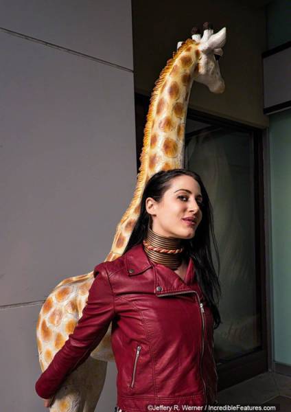 She Literally Stopped Sticking Her Neck Out. The Neck-Rings Of Giraffe