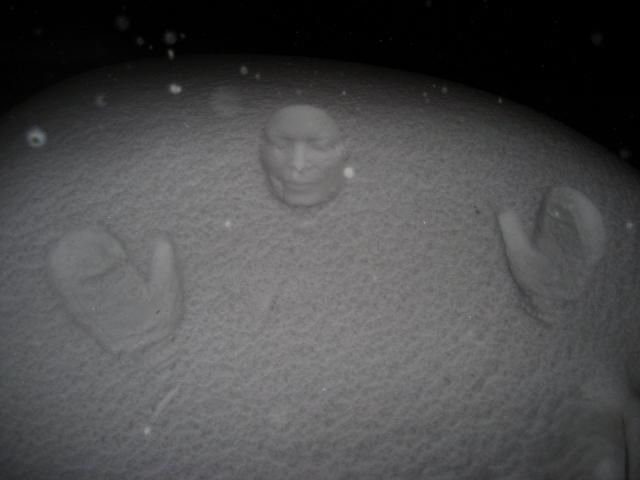Bodyprints on snowy cars (11 pics)